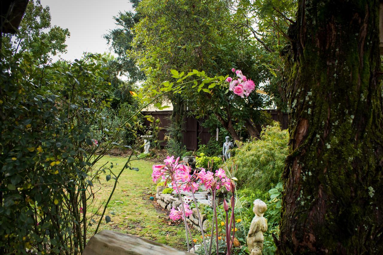 Holland House Bed & Breakfast Нелсън Екстериор снимка